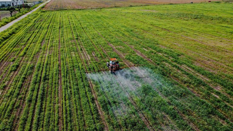 Loi d&rsquo;urgence agricole : nous continuons à gérer les conséquences d&rsquo;un monde qui disparaît, au lieu d&rsquo;organiser la production dans celui qui est déjà là